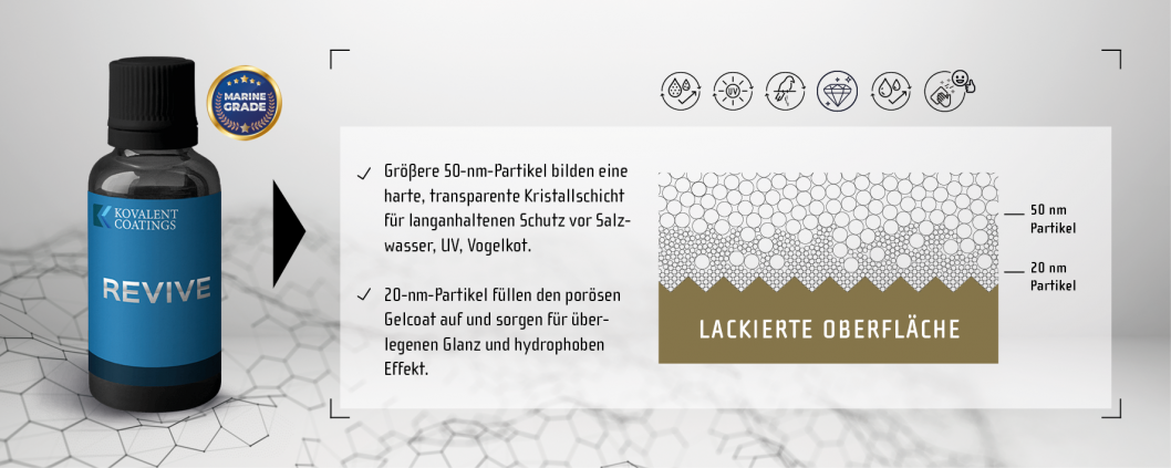 Infografik-Revive-Querschnitt.png
